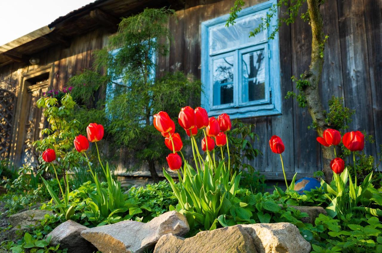 Kogutowo Agroturystyka Mpr Wietrzychowice Exteriör bild